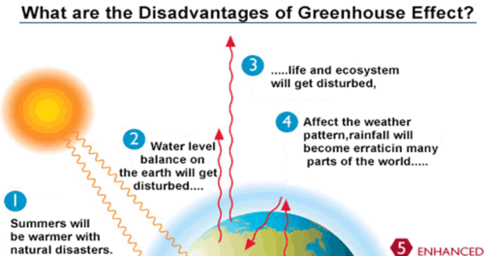 Know the disadvantages of green house effects