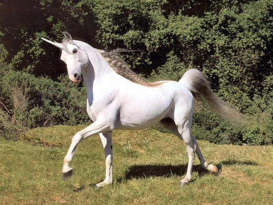 Unicorns Really Do Exist! - Time Really Is Money