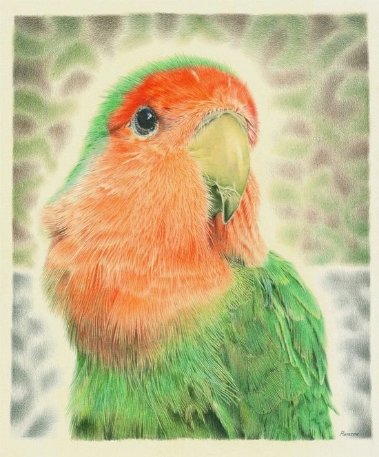 What are some great hyper realistic drawings of birds? - Quora