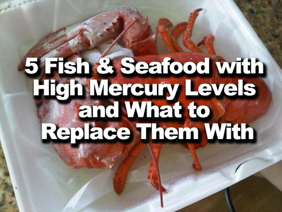 5 Fish and Seafood with High Mercury Levels and What to ...