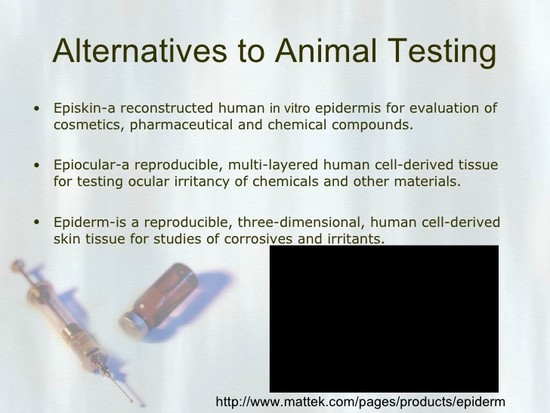 Alternatives - Animal Testing