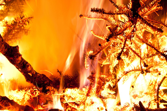 Burning Christmas tree, Golden Gardens, Seattle | Brendan ...