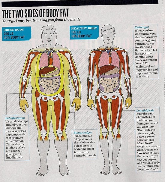 Emerson Villela Carvalho Jr., M.D.: How Fat Attacks Your Body!