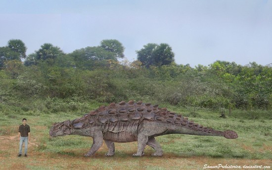 Ankylosaurus | Dinosaur Home