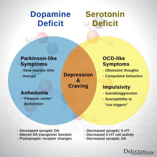 Boost Up Dopamine for Motivation and Focus - DrJockers.com