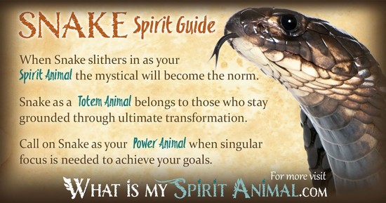 Snake Symbolism & Meaning | Spirit, Totem & Power Animal
