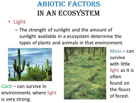 Ecosystems. - ppt video online download