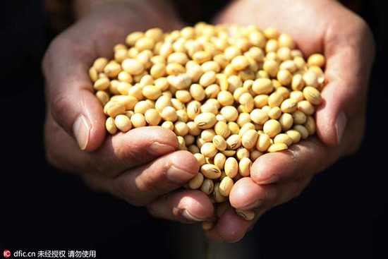 Soybean province wants protection from GM crops ...