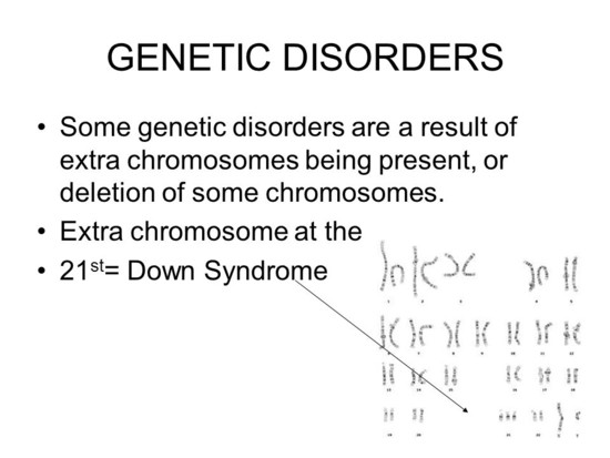 HEREDITY and CHROMOSOMES - ppt video online download