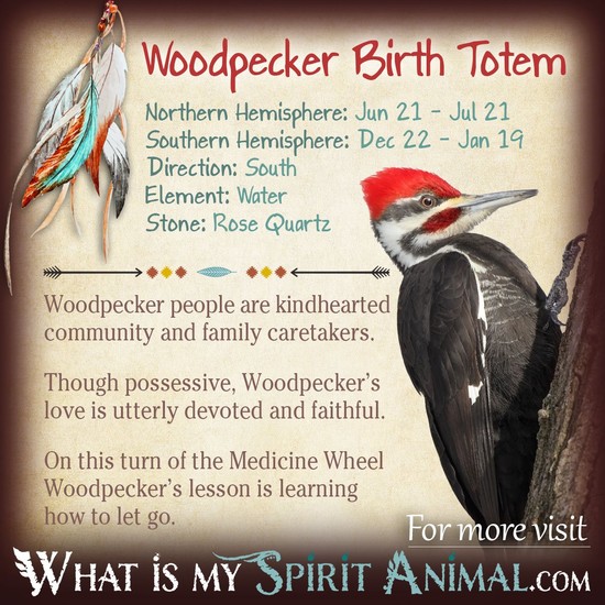 Woodpecker Totem | Native American Zodiac Signs & Birth Signs