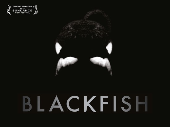 Blackfish - Official Trailer - YouTube