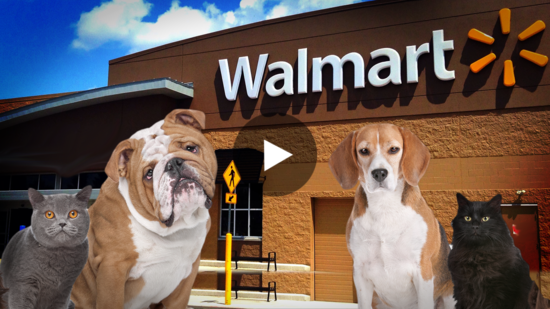 Walmart To Allow Shoppers To Bring Their Pets With Them To ...