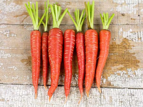 Atomic Red Carrot 1/4 oz | Baker Creek Heirloom Seeds