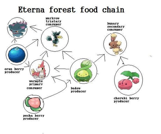 Pokemon Food Chain by hyperblob on DeviantArt