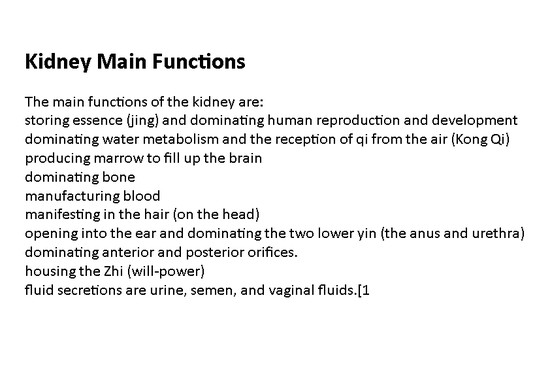 the main function of the kidney | *The kidneys, bladder ...