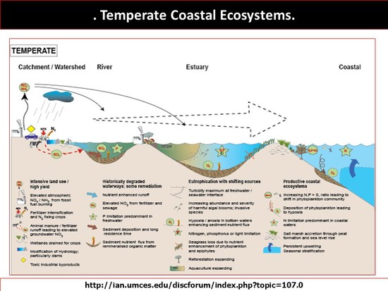 Integrated Coastal Zone Management - ppt download