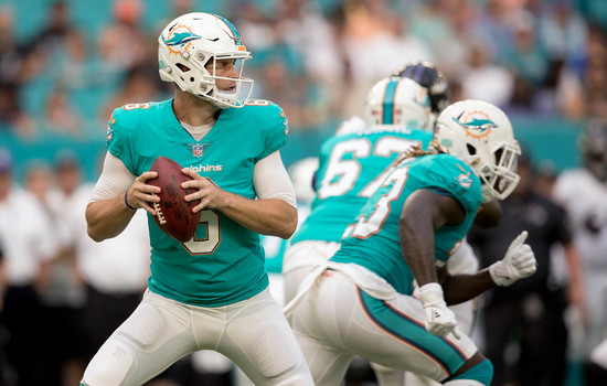 Miami Dolphins QB Jay Cutler to get extended playing time ...