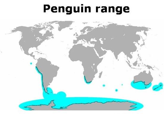 WHERE DO PENGUINS LIVE? |The Garden of Eaden