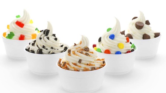 Frozen yogurt: A successful business idea