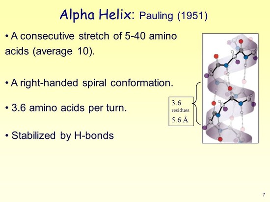Proteins Secondary Structure Predictions - ppt video ...