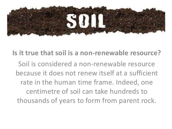 Soil presentation by Benedicta Philip