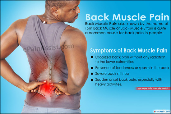 Back Muscle Pain: Treatment, Causes, Symptoms