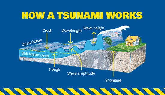 Tsunami Public Education » Ministry of Civil Defence and ...