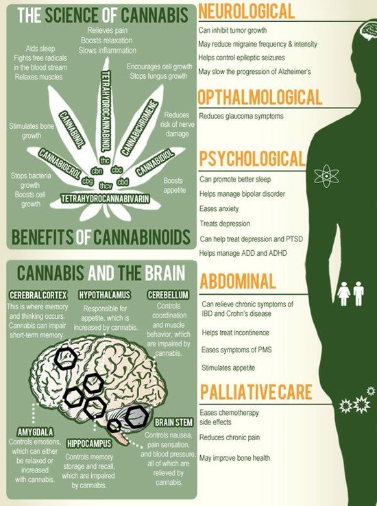 25+ best ideas about Cannabis effects on Pinterest | Weed ...
