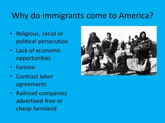 Immigration to the United States - ppt video online download