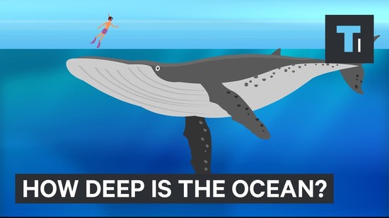 This Incredible Animation Shows How Deep The Ocean Really ...