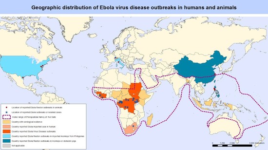 How worried should we be about the spread of Ebola? | indy100