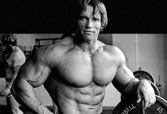 Arnold Schwarzenegger - Dieta, Treino, Medidas, Fotos e ...