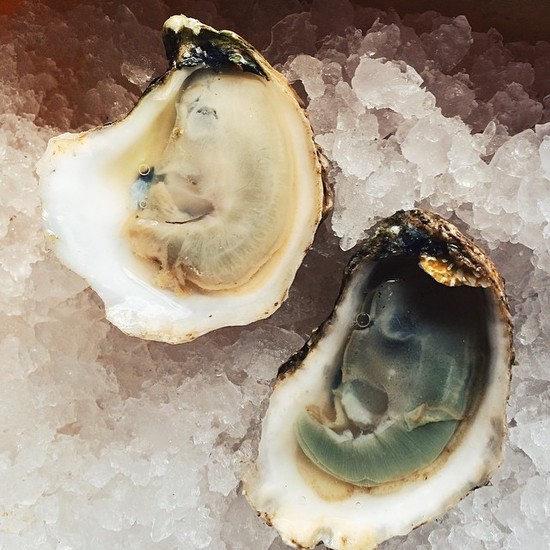 9 Things To Know About Oysters - In A Half Shell