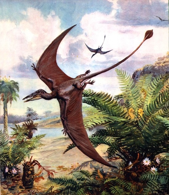 dinosaurs pterodactyls zdenek burian 2736x3163 wallpaper ...