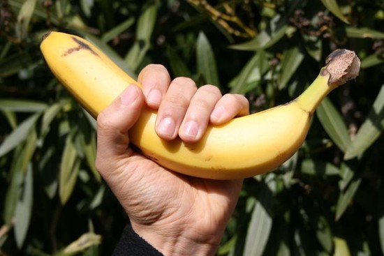 How to Eat a Banana Like a Monkey