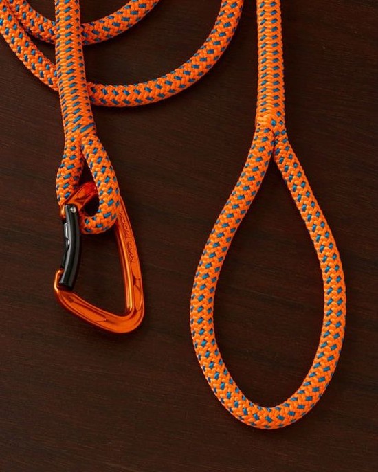 Climbing Rope Dog Leash | Dog leash, Climbing rope and ...
