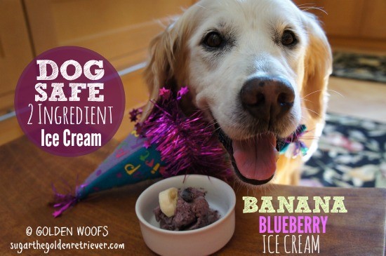 Dog Treat Recipes - Golden Woofs