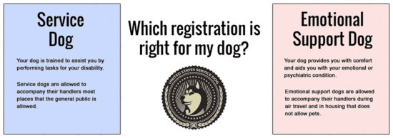 US Service Dogs | Service Dog Registration and Products ...