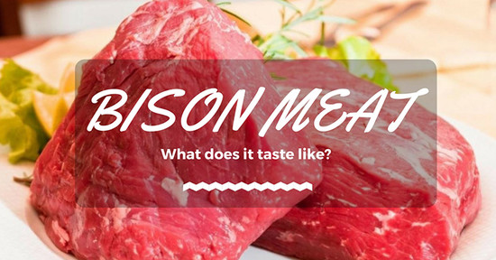 What Does Bison Taste Like: All You Need To Know About ...