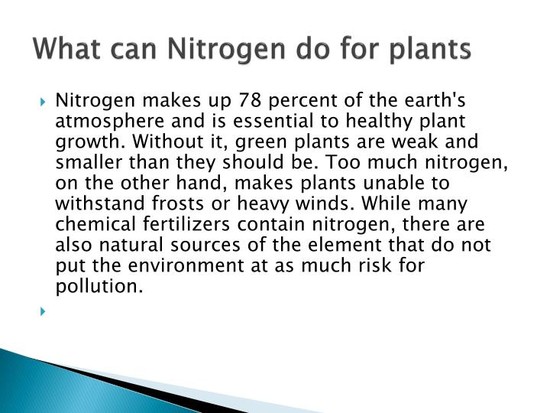 PPT - Nitrogen PowerPoint Presentation - ID:1980303
