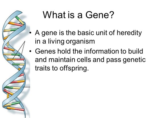 Including Mutations & Non-disjunction - ppt video online ...