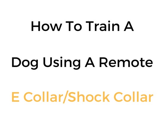 How To Train A Dog With A Shock Collar/Remote E Collar ...