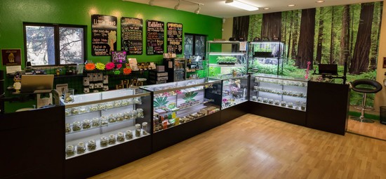 Leafly List: The Best Cannabis Dispensaries in Northern ...