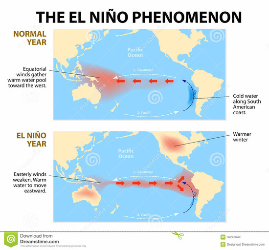 Cliff Mass Weather and Climate Blog: A Strong El Nino ...