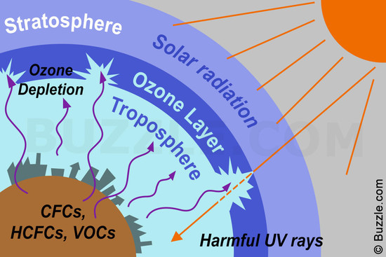 Causes and Effects of Ozone Layer Depletion That are ...
