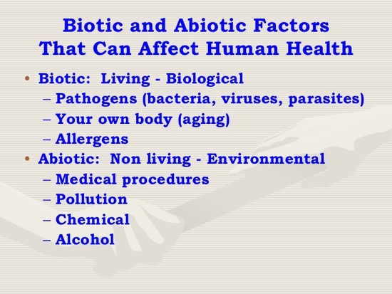 Biotic & Abiotic Factors PowerPoint