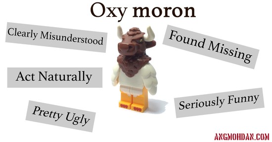 101 Awfully Good Examples of Oxymorons - angmohdan