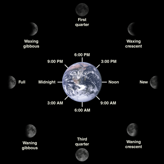 Do Lunar Phases Actually Affect The Bite?