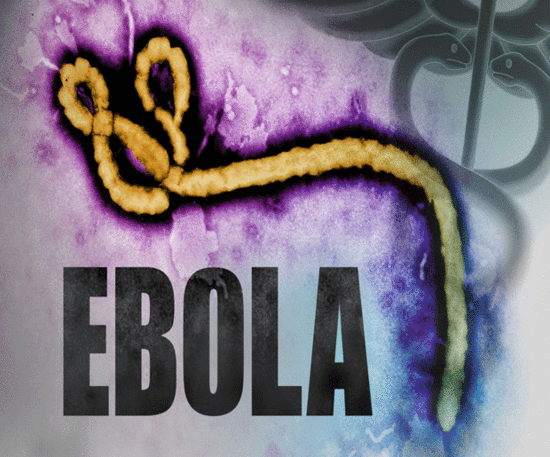 Will The Spread Of Ebola Be Worse Than AIDS? - SHE'SAID ...