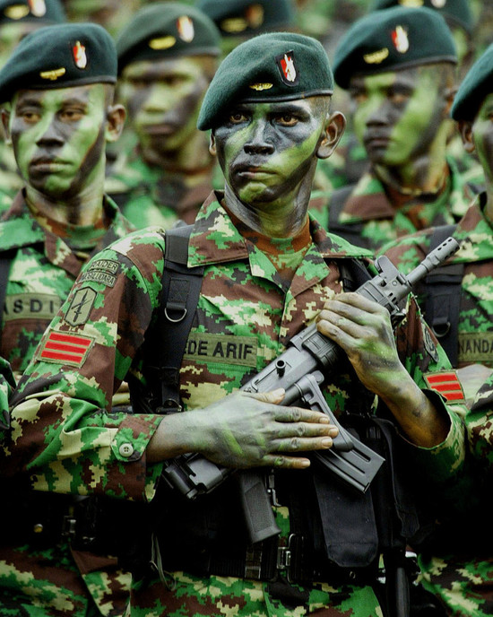 Kerry B. Collison Asia News: Indonesia’s Special Forces ...